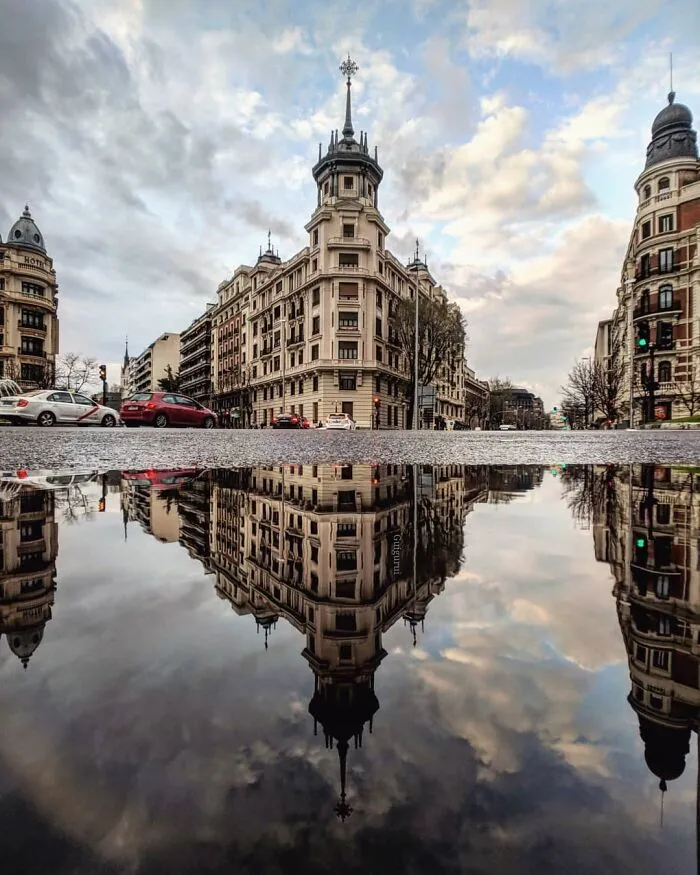 I Discover Hidden Parallel Worlds In Puddles And Other Reflections On My Smartphone (30 Pics)