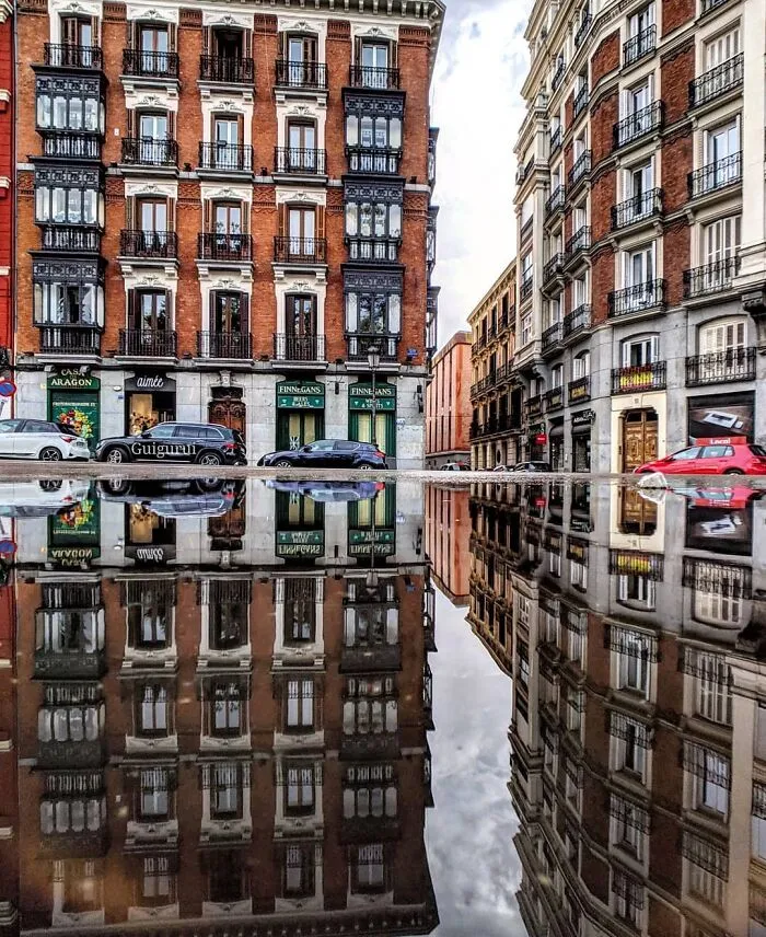 I Discover Hidden Parallel Worlds In Puddles And Other Reflections On My Smartphone (30 Pics)