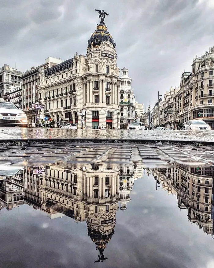 I Discover Hidden Parallel Worlds In Puddles And Other Reflections On My Smartphone (30 Pics)