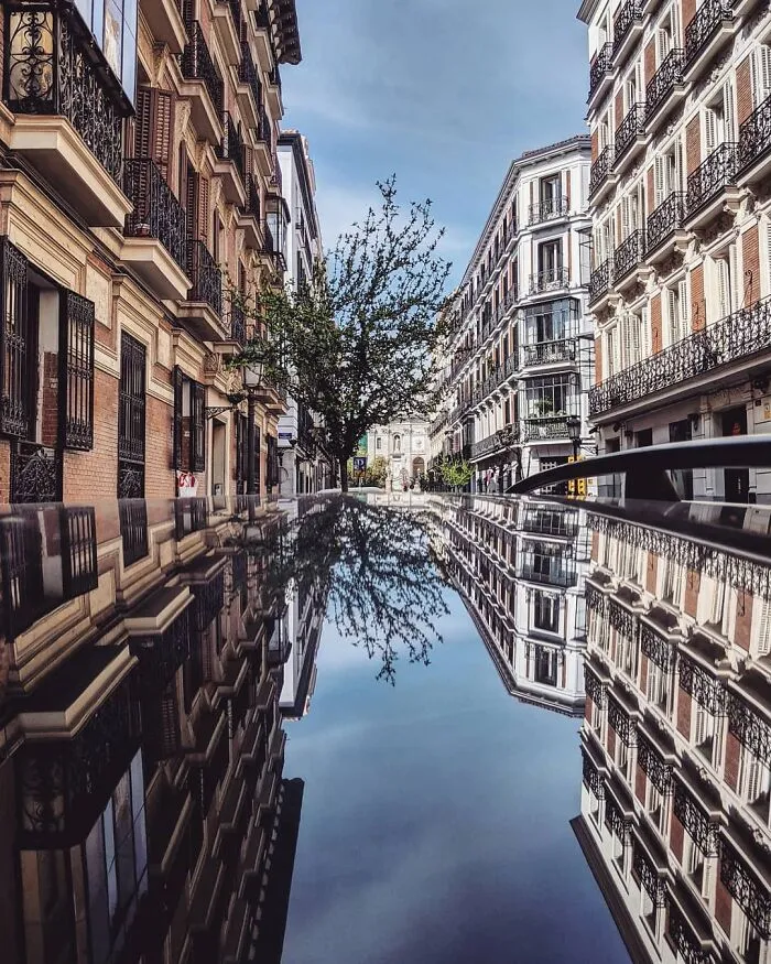 I Discover Hidden Parallel Worlds In Puddles And Other Reflections On My Smartphone (30 Pics)