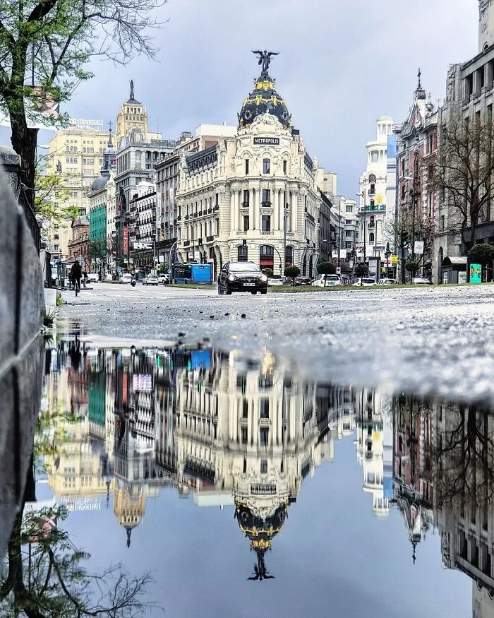 I Discover Hidden Parallel Worlds In Puddles And Other Reflections On My Smartphone (30 Pics)