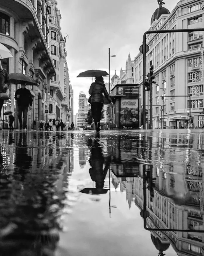 I Discover Hidden Parallel Worlds In Puddles And Other Reflections On My Smartphone (30 Pics)