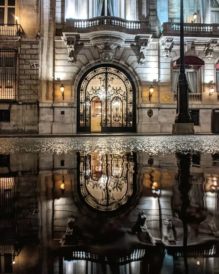 I Discover Hidden Parallel Worlds In Puddles And Other Reflections On My Smartphone (30 Pics)