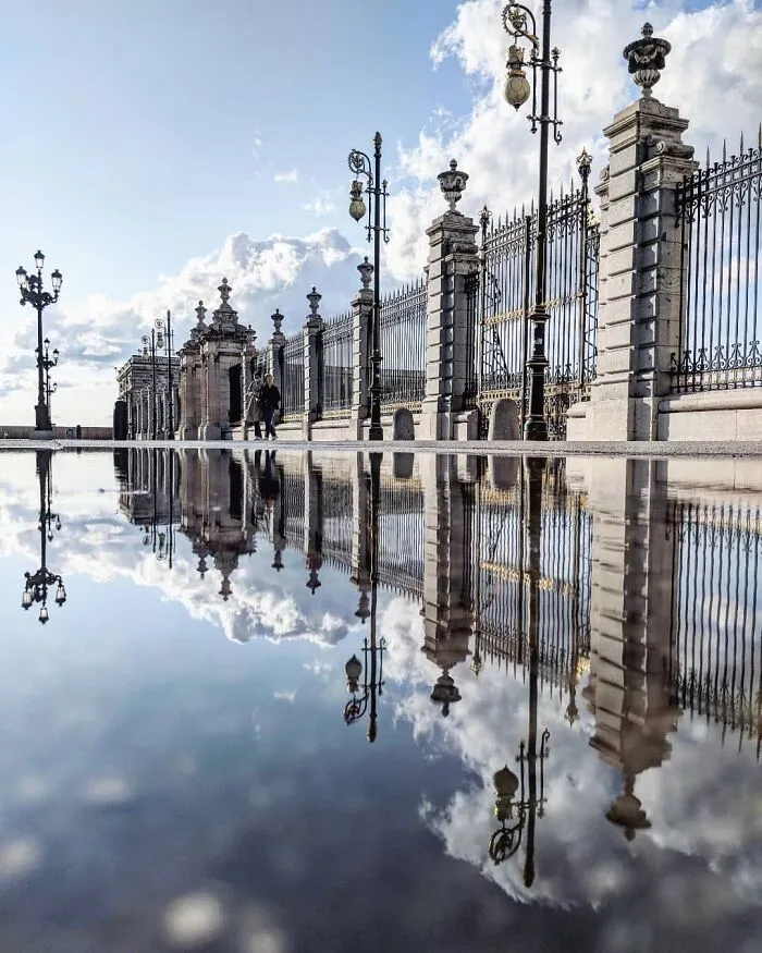 I Discover Hidden Parallel Worlds In Puddles And Other Reflections On My Smartphone (30 Pics)