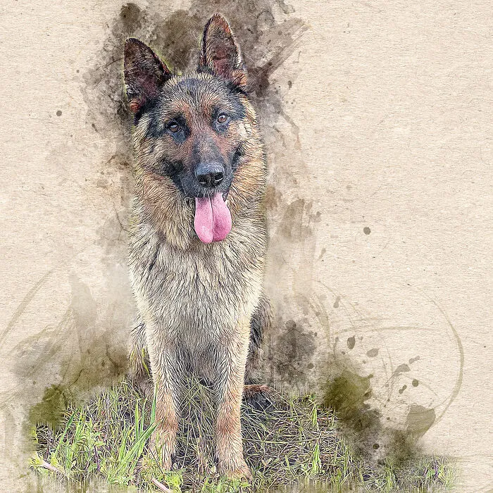 I Help Find New Homes For Heroic Blood Donor Dog And 17 Other Dogs In Need
