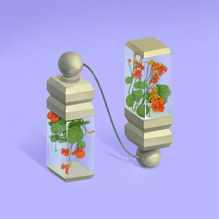 N Is For Nasturtium