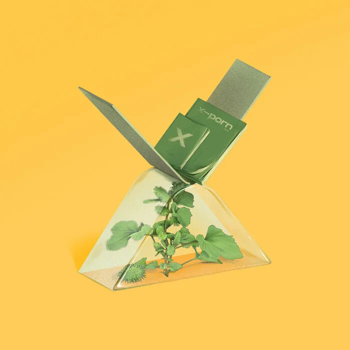X Is For Xanthium Orientale