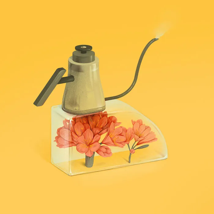 K Is For Kaffir Lily
