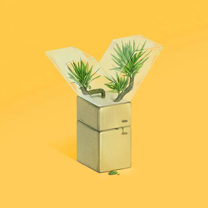 Y Is For Yucca