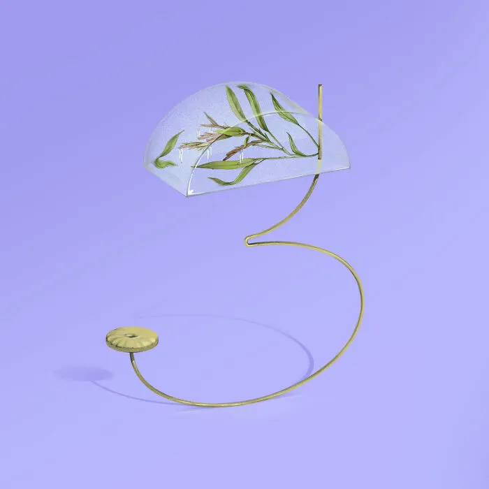 Number Three For Melocanna Baciffera
