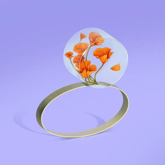 Number Eight For California Poppy