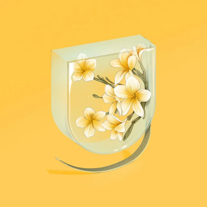 Number Nine For Frangipani