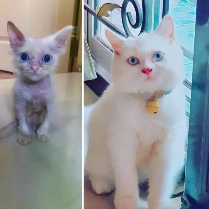Antes y después. Qué transformación