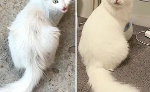 50 Times People Posted Incredibly Wholesome Before & After Pictures Online