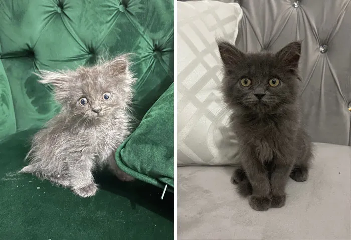 I Was Told To Share Her In This Community