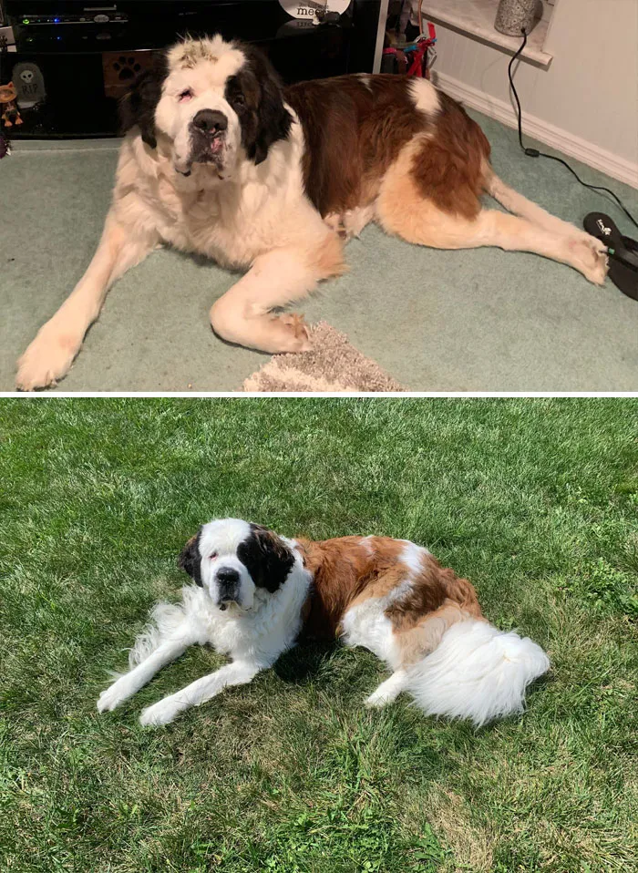 Gotcha Day 11/9/19 And Few A Weeks Ago