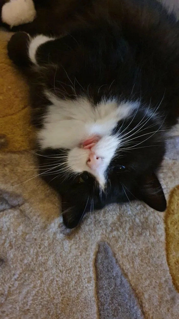 Dǝlq Uʍop-Ǝpᴉsd∩