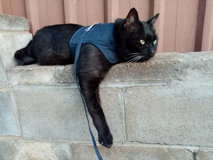 Jonah Chilling Out.