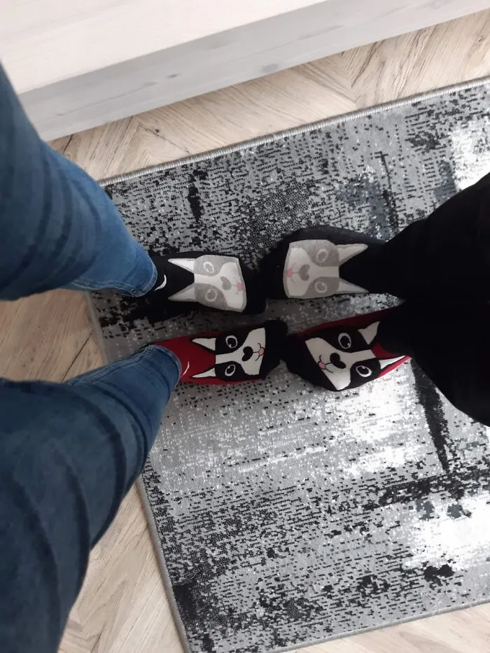 Couple Of Dogs
