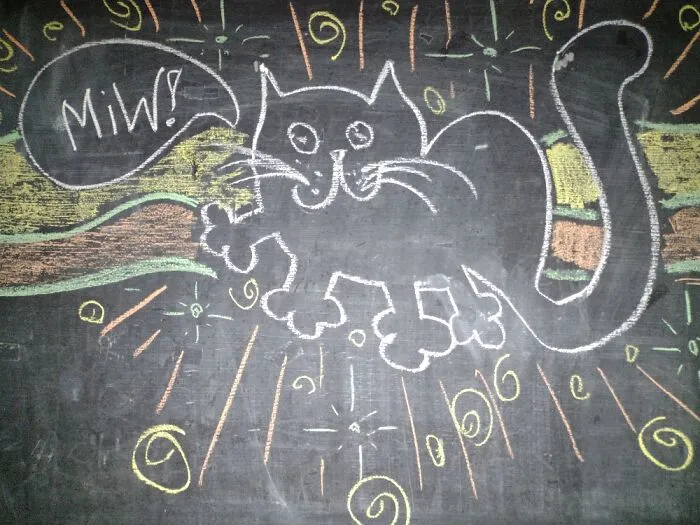 A Chalk Drawing Of A Kitty In Support Of All Animals.