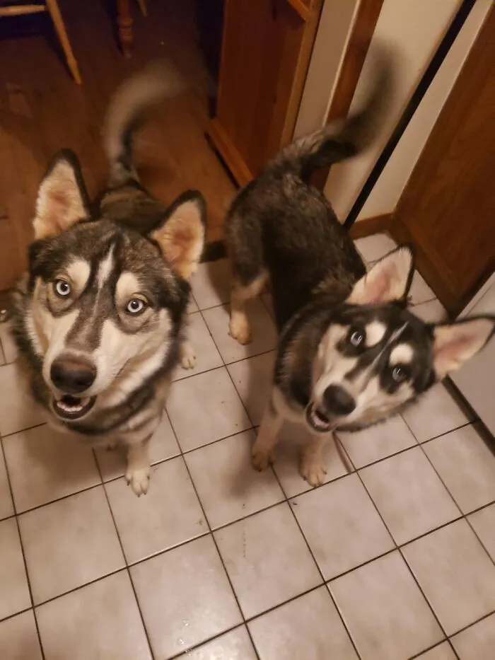 Fenrir And Freya