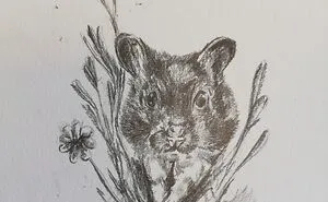 Hey Pandas, Draw A Picture Of Your Pet (Closed)