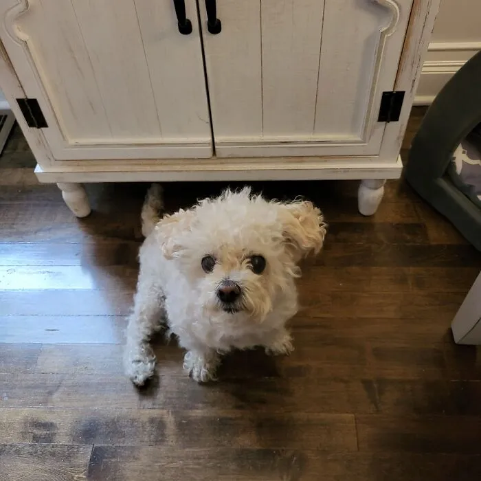 Little Benji!