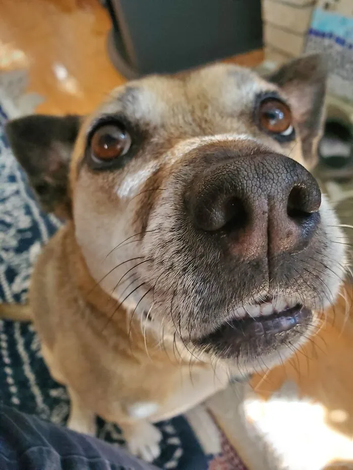 Is It Dinner Yet?