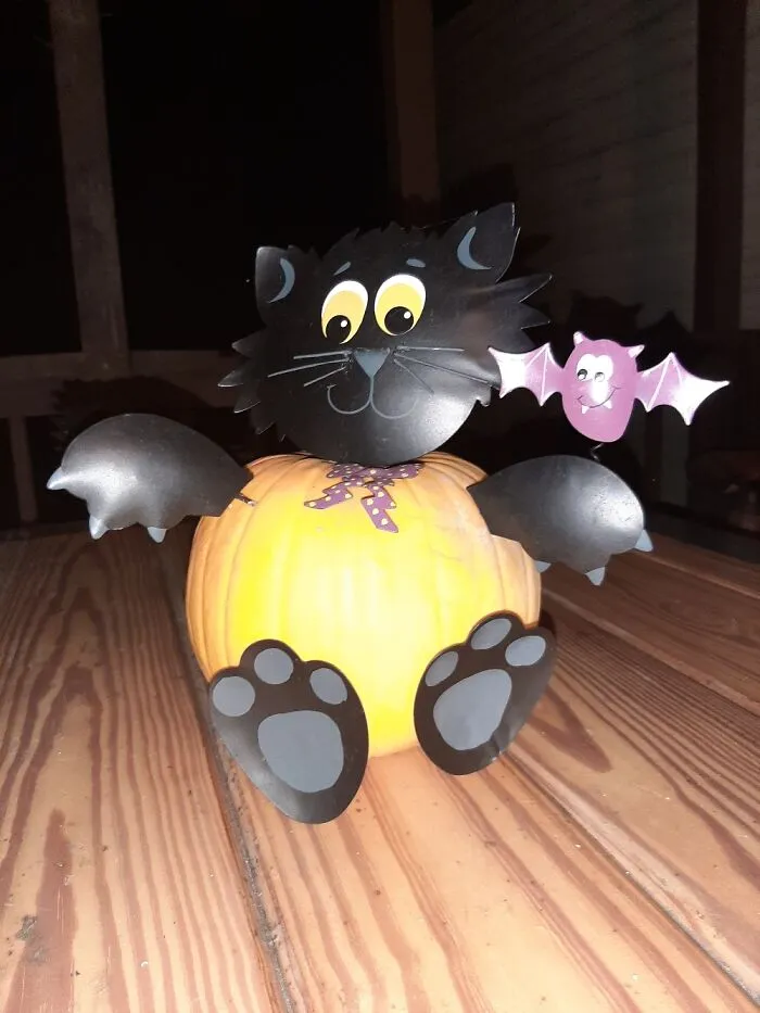 My Cat Pumpkin