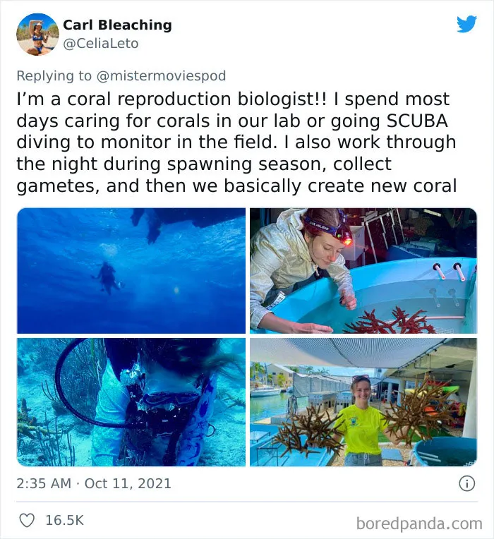 People Who Actually Like Their Jobs Are Sharing What They Do (35 Tweets)