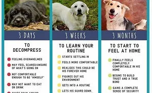 40 ‘Cool Guides’ People Shared On This Group That Contain Information They Don’t Teach At School (New Pics)