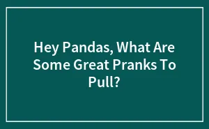 Hey Pandas, What Are Some Great Pranks To Pull? (Closed)