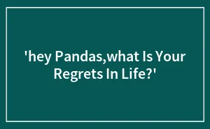 'hey Pandas,what Is Your Regrets In Life?'
