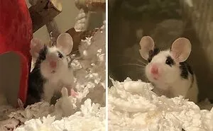 50 Times People Spotted The Cutest Animals And Just Had To Take A Pic Of Them