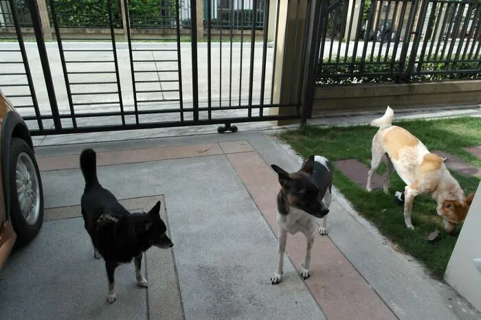 30 People Share How Their Horrible Neighbors Made Their Lives More Difficult