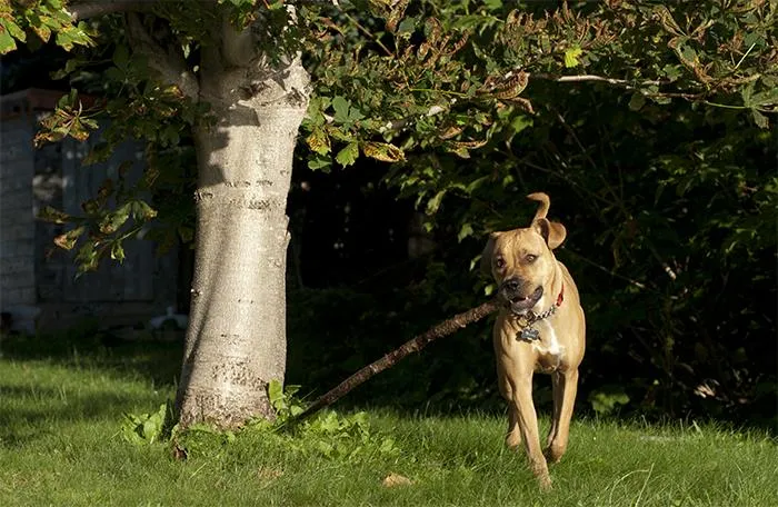 30 People Share How Their Horrible Neighbors Made Their Lives More Difficult