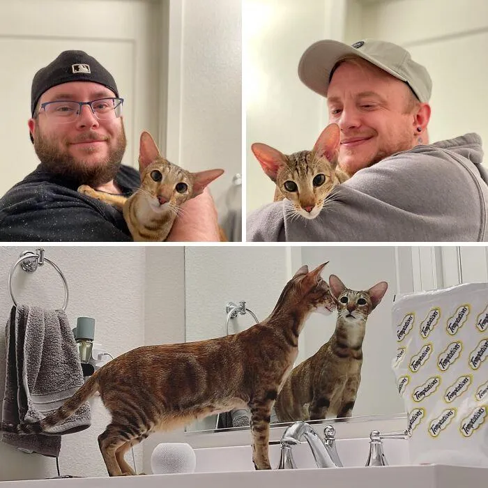 My Partner And I Adopted Emma Today! She Is A 1yr Old Oriental