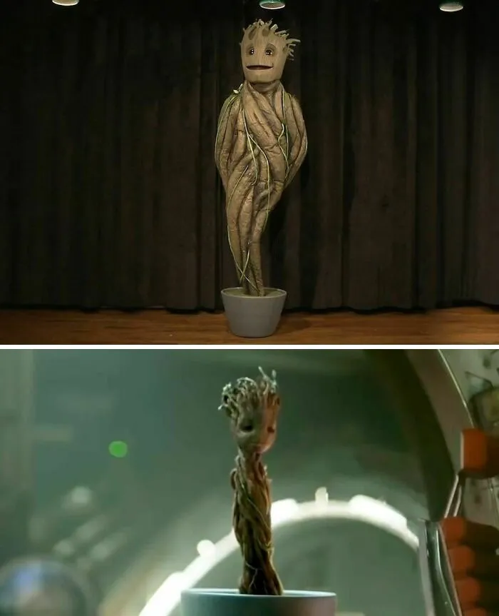 I Am Groot