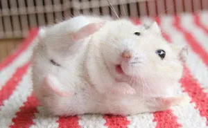 50 Times People Spotted The Cutest Animals And Just Had To Take A Pic Of Them