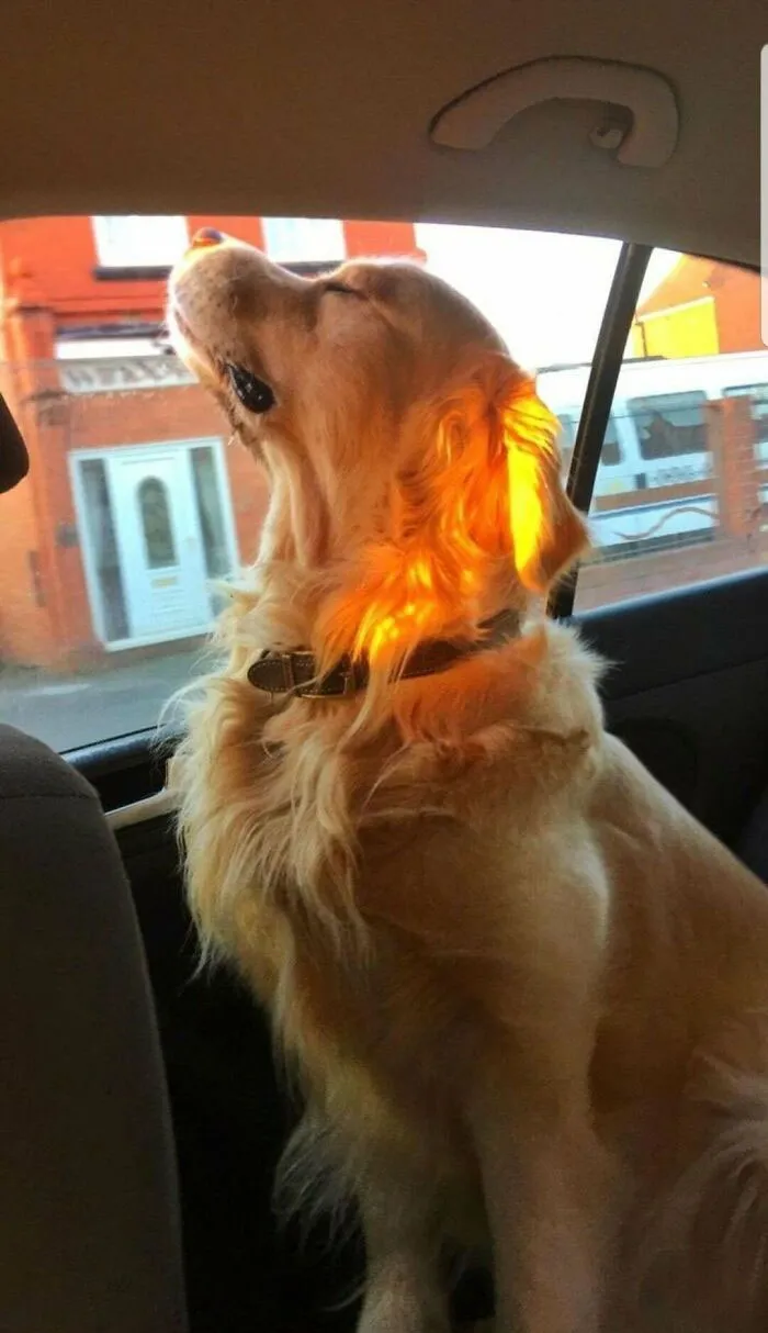 Esta imagen me hace tan feliz que tengo que compartirla