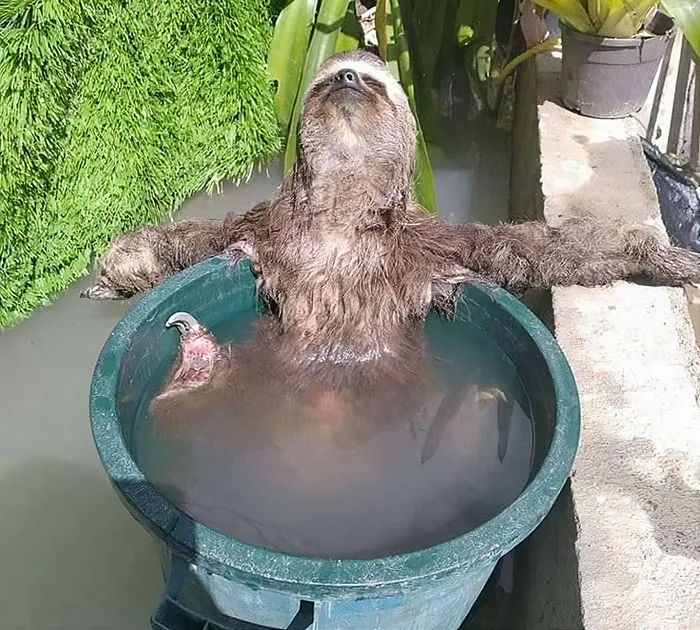 Día de spa