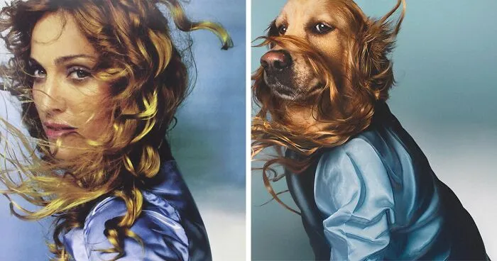 This Dog Recreates Madonna's Iconic Pics And Some Could Say They're Even Better Than The Originals (18 Pics)