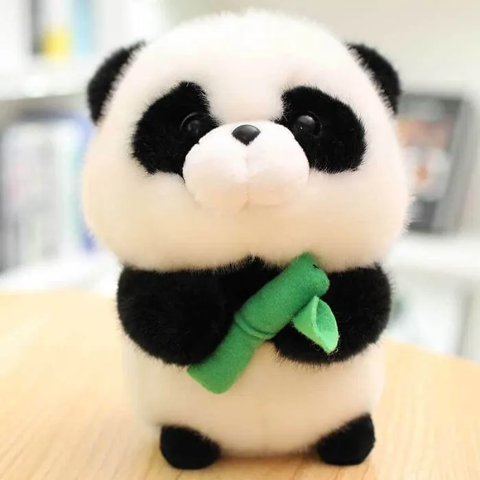 Hey Pandas, What Stereotype Are You Associated With And How Does This Affect You? (Closed)