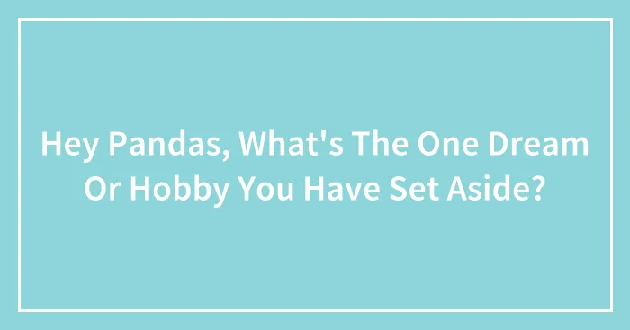 Hey Pandas, What's The One Dream Or Hobby You Have Set Aside? (Closed)