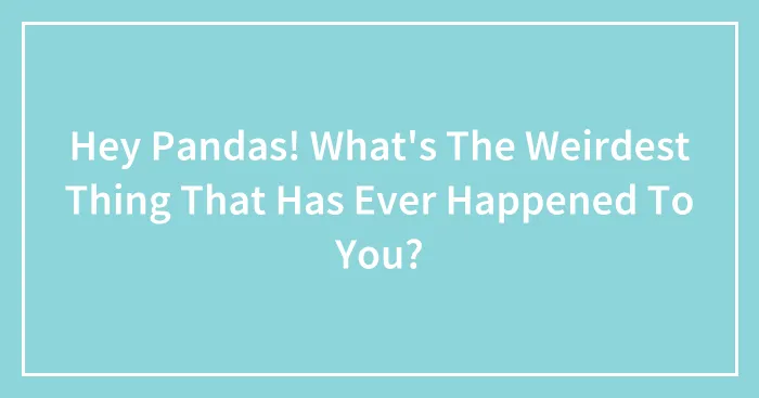 Hey Pandas! What's The Weirdest Thing That Has Ever Happened To You?