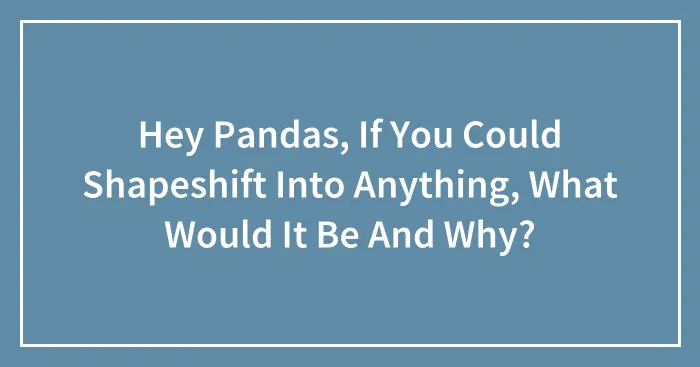 Hey Pandas, If You Could Shapeshift Into Anything, What Would It Be And Why? (Closed)