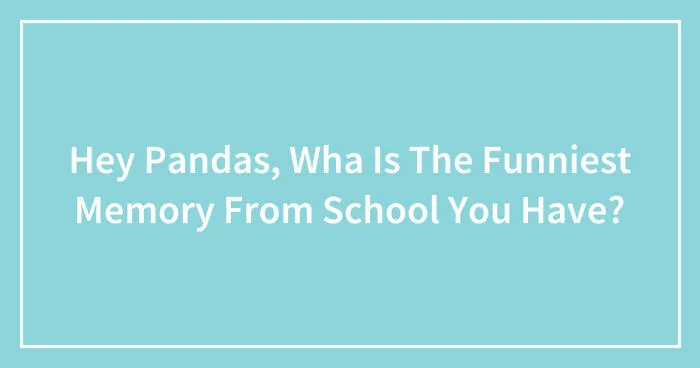 Hey Pandas, Wha Is The Funniest Memory From School You Have? (Closed)