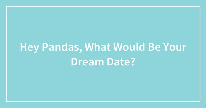 Hey Pandas, What Would Be Your Dream Date? (Closed)