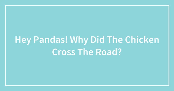 Hey Pandas! Why Did The Chicken Cross The Road? (Closed)