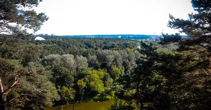 Hey Pandas, Where Is The Best Spot To Contemplate Your City?